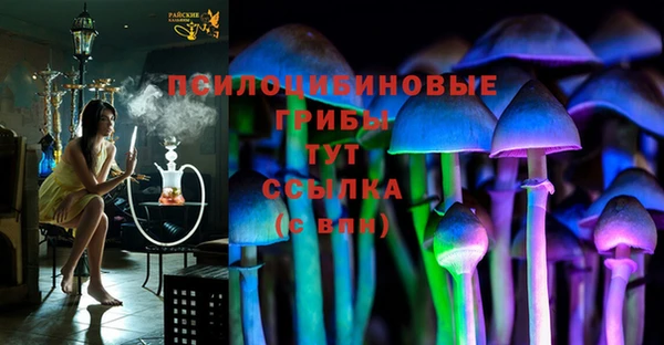 трава Армянск